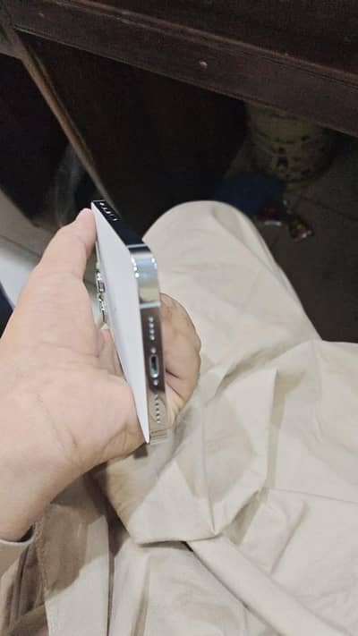 Apple iPhone 13 Pro Max  99 health
