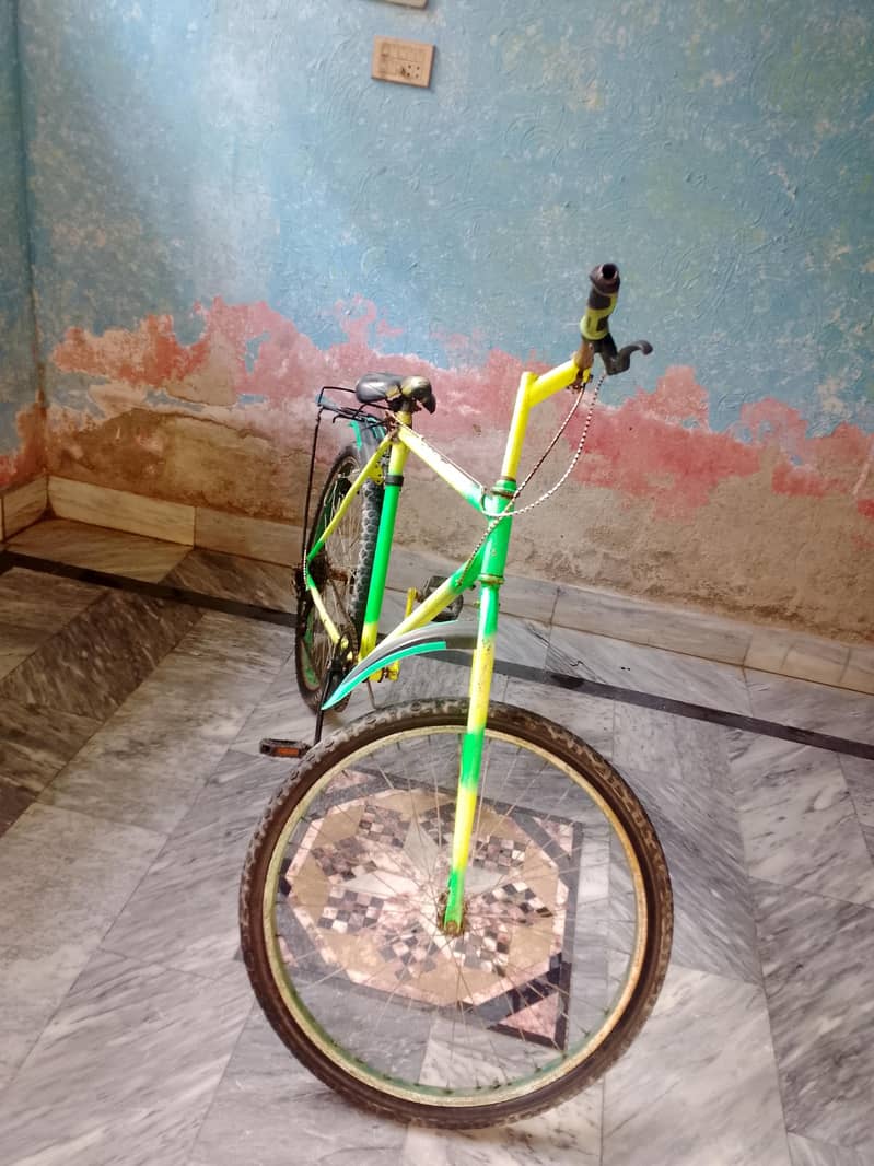 modified bicycle 5