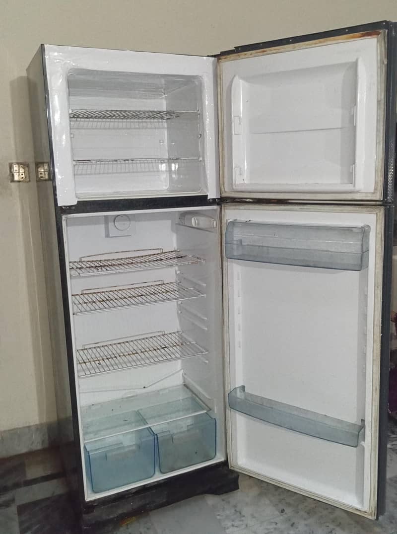 frige 2