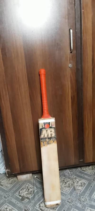 professional cricket ket within affordable price