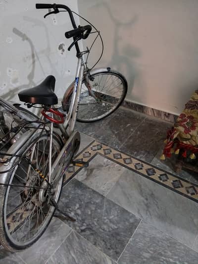 Imported bicycle