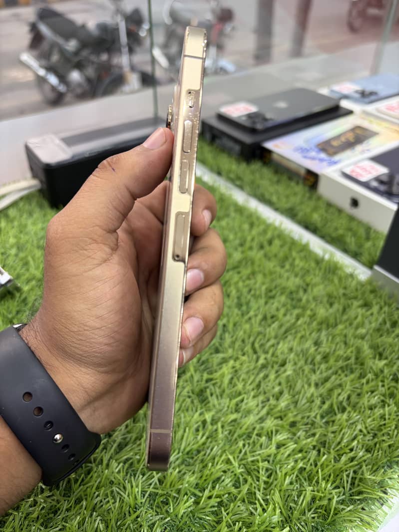 Apple iPhone 13 Pro Max 1