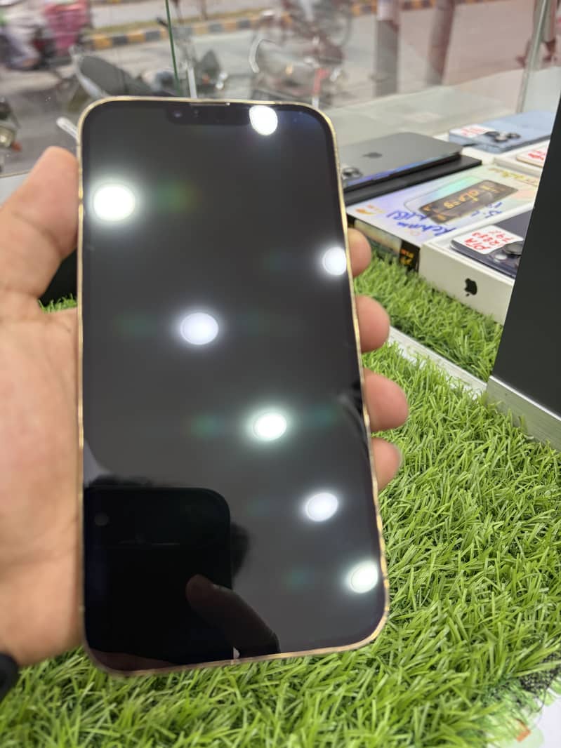 Apple iPhone 13 Pro Max 3