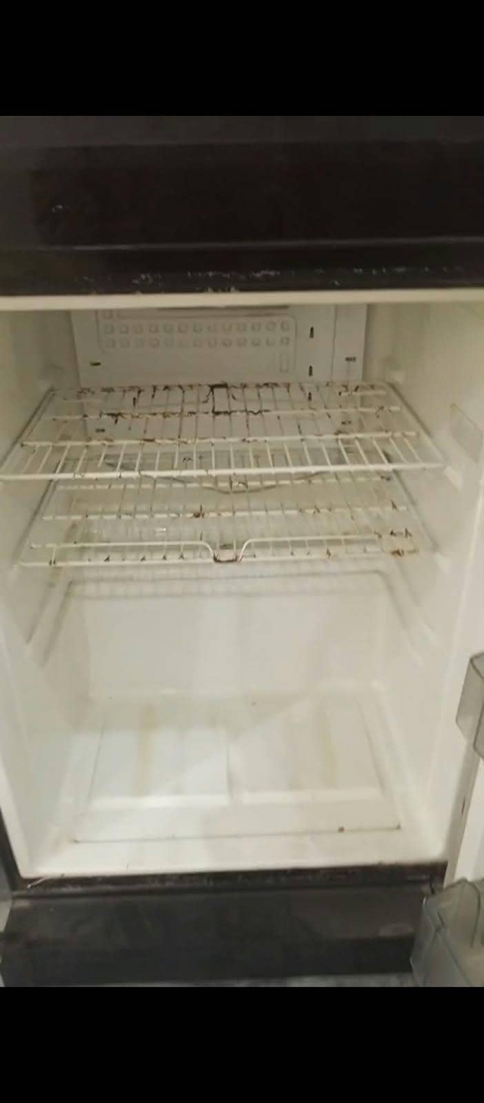 Freezers 3