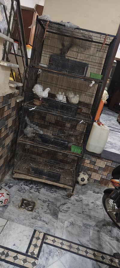 2 * 4 best cage for birds and peigons