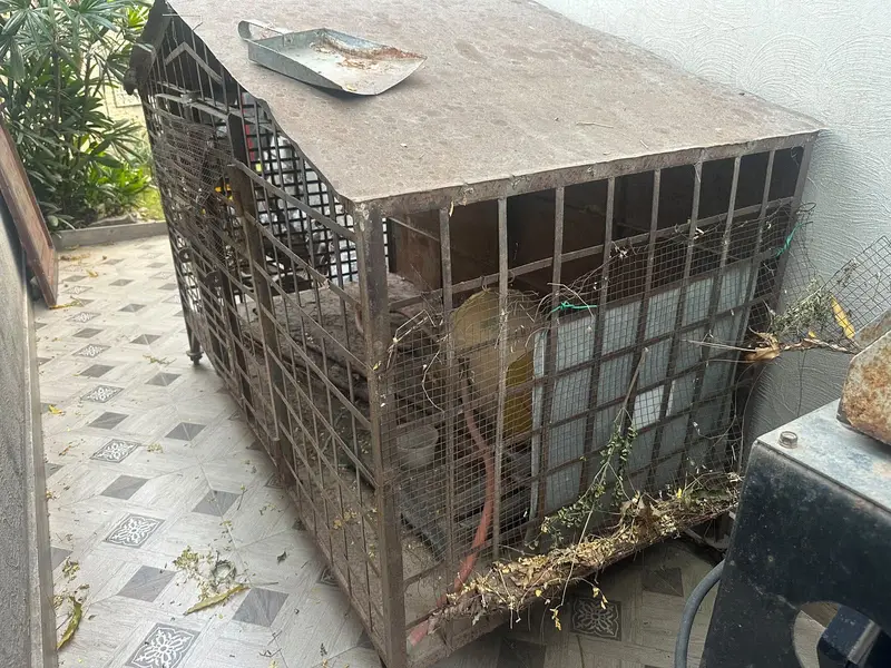 Heavy Duty Large Iron Dog Cage — photo 2