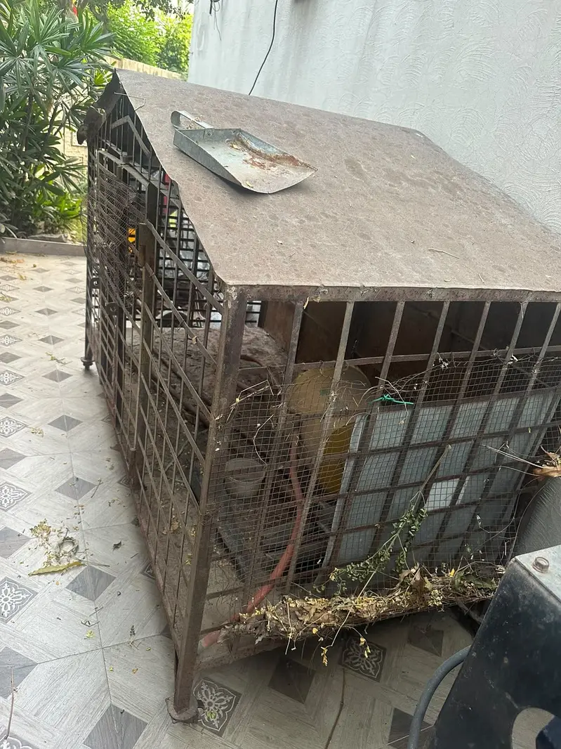 Heavy Duty Large Iron Dog Cage — photo 4