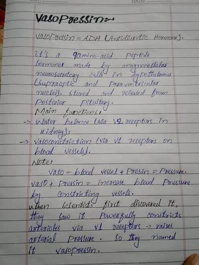 assignment writing