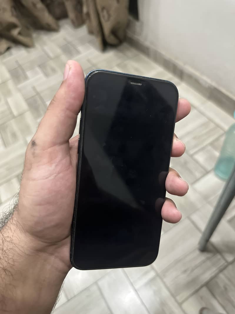 Apple iPhone 12 1