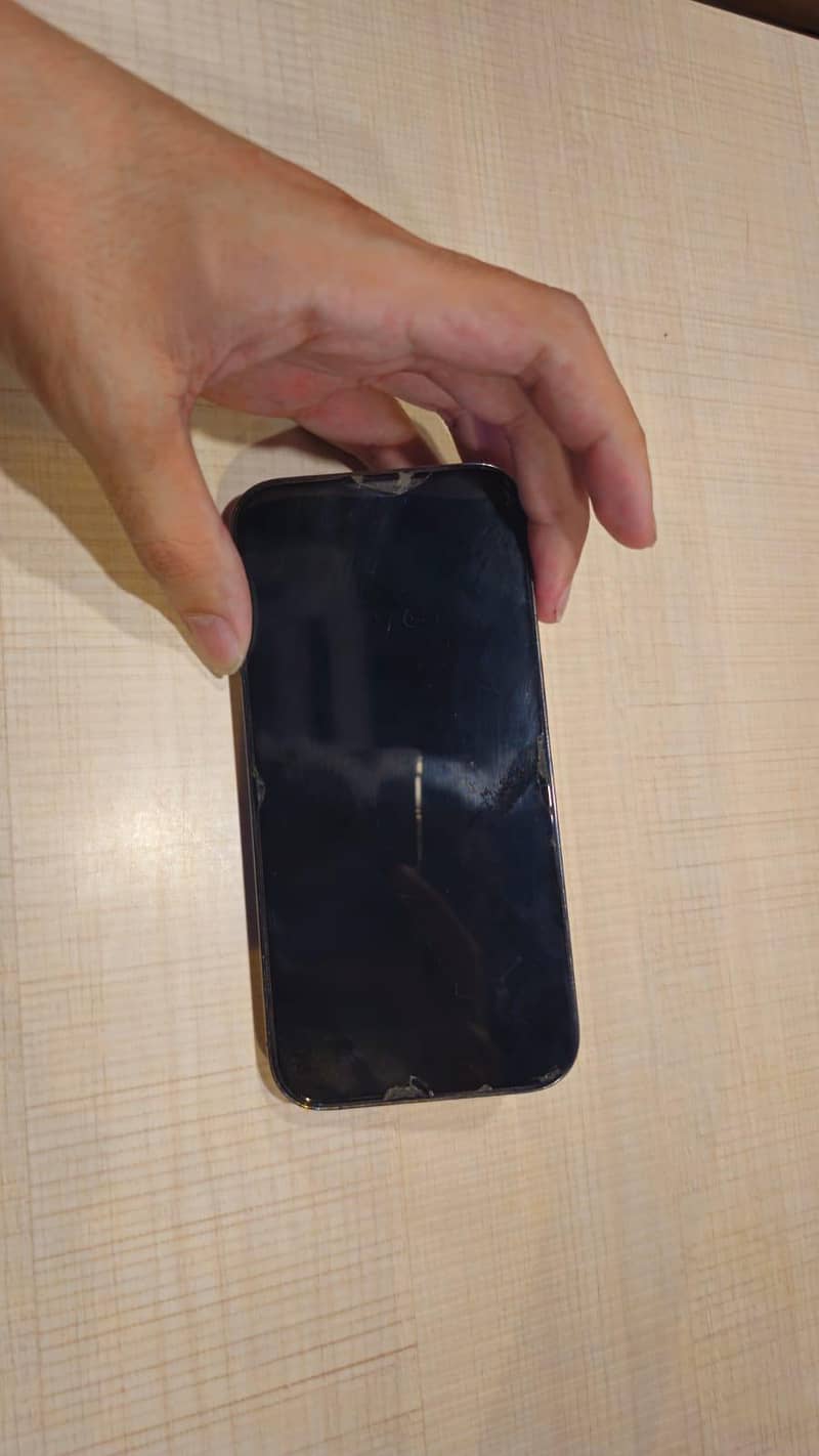 Apple iPhone 14 Pro 1