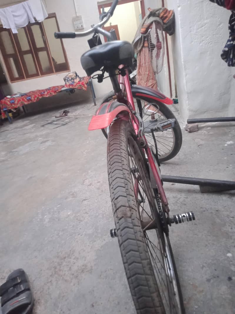 bicikal 2