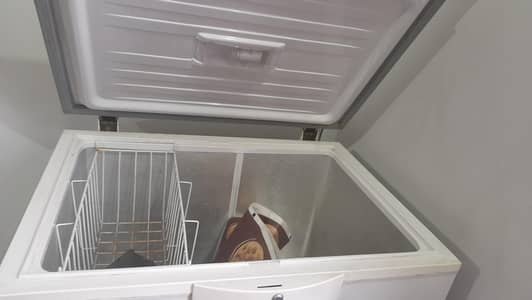 Single doorDeepfeezer for sale
