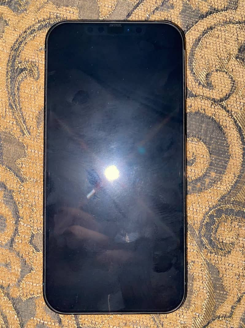 Apple iPhone 12 Pro Max 1