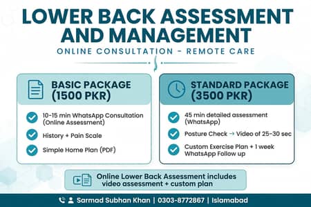 Online Lower Back Pain Assessment & Personalised Management