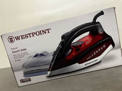 Steam iron