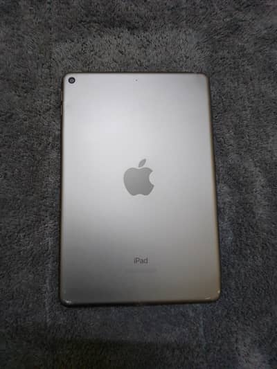 Ipad mini 5