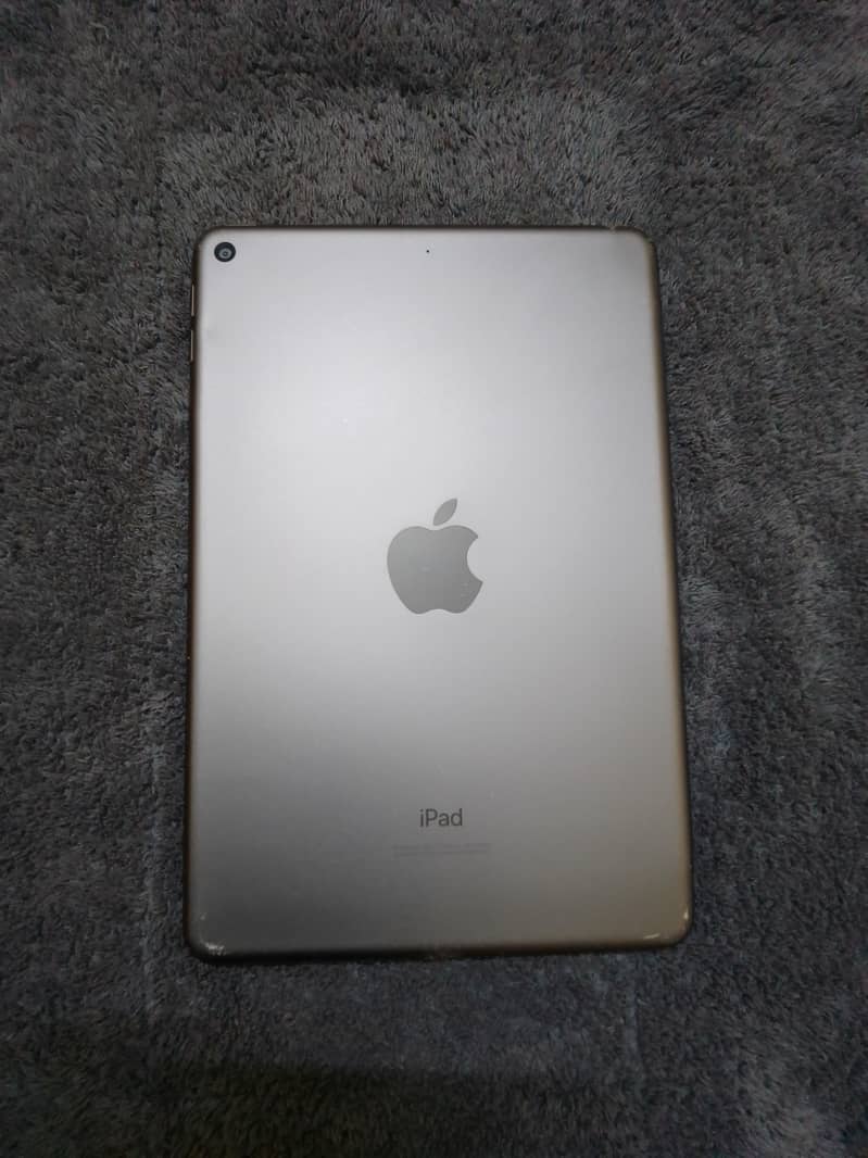 Ipad mini 5 0
