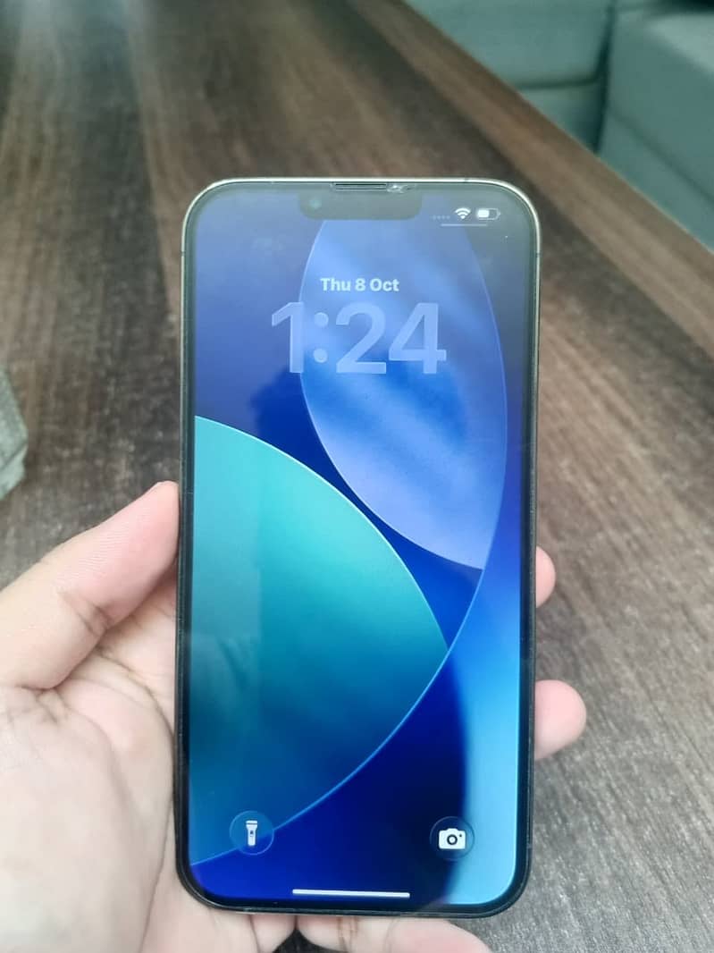 Apple iPhone 13 Pro Max 1