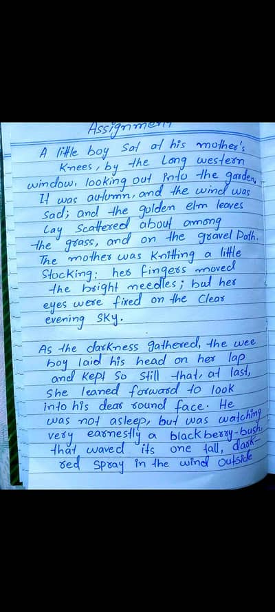 hand writing assignment services  Neat work