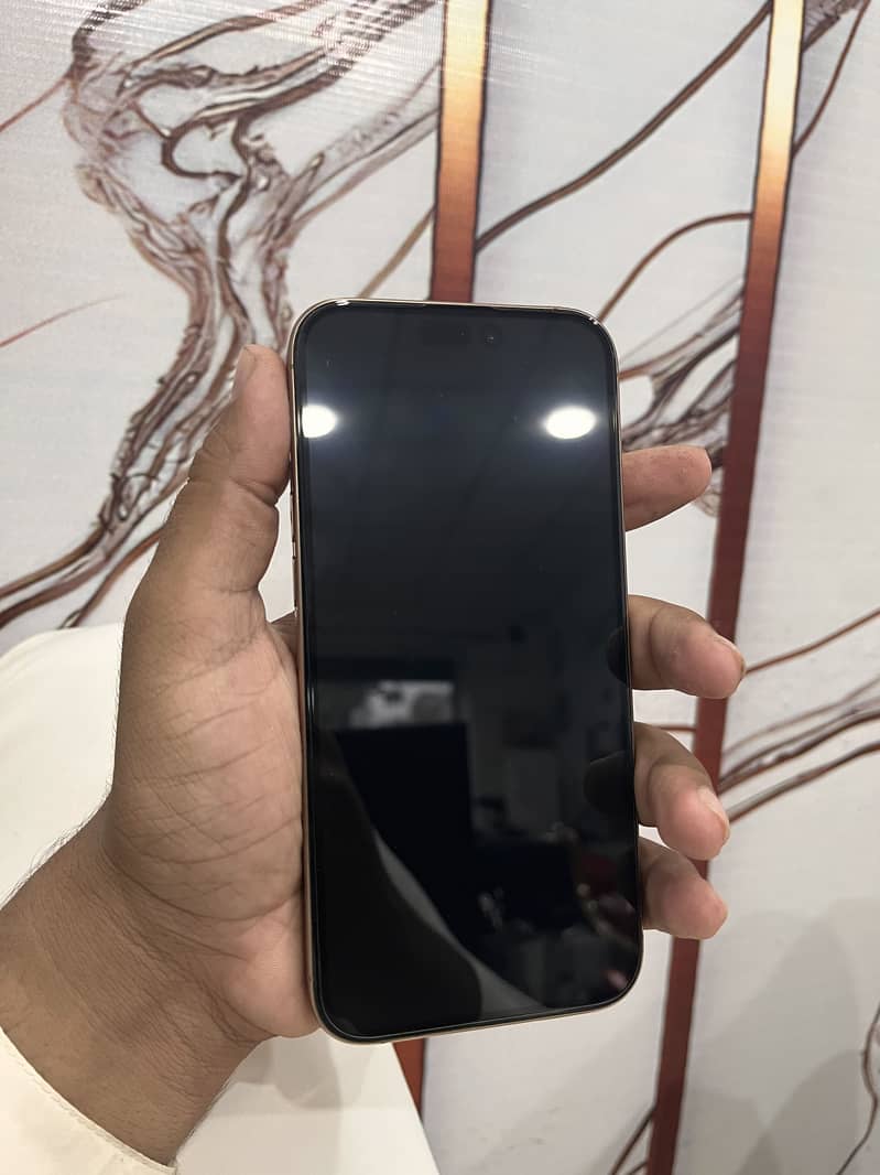 Apple iPhone 16 Pro Max 1