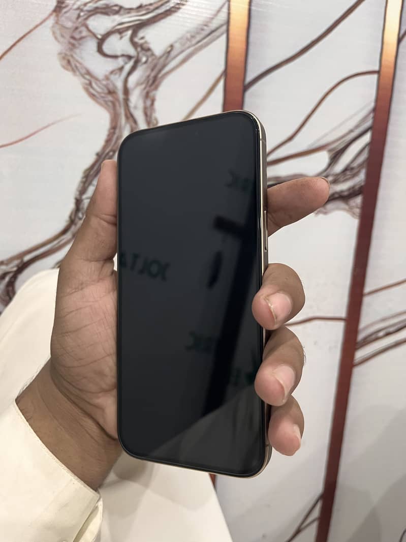 Apple iPhone 16 Pro Max 2