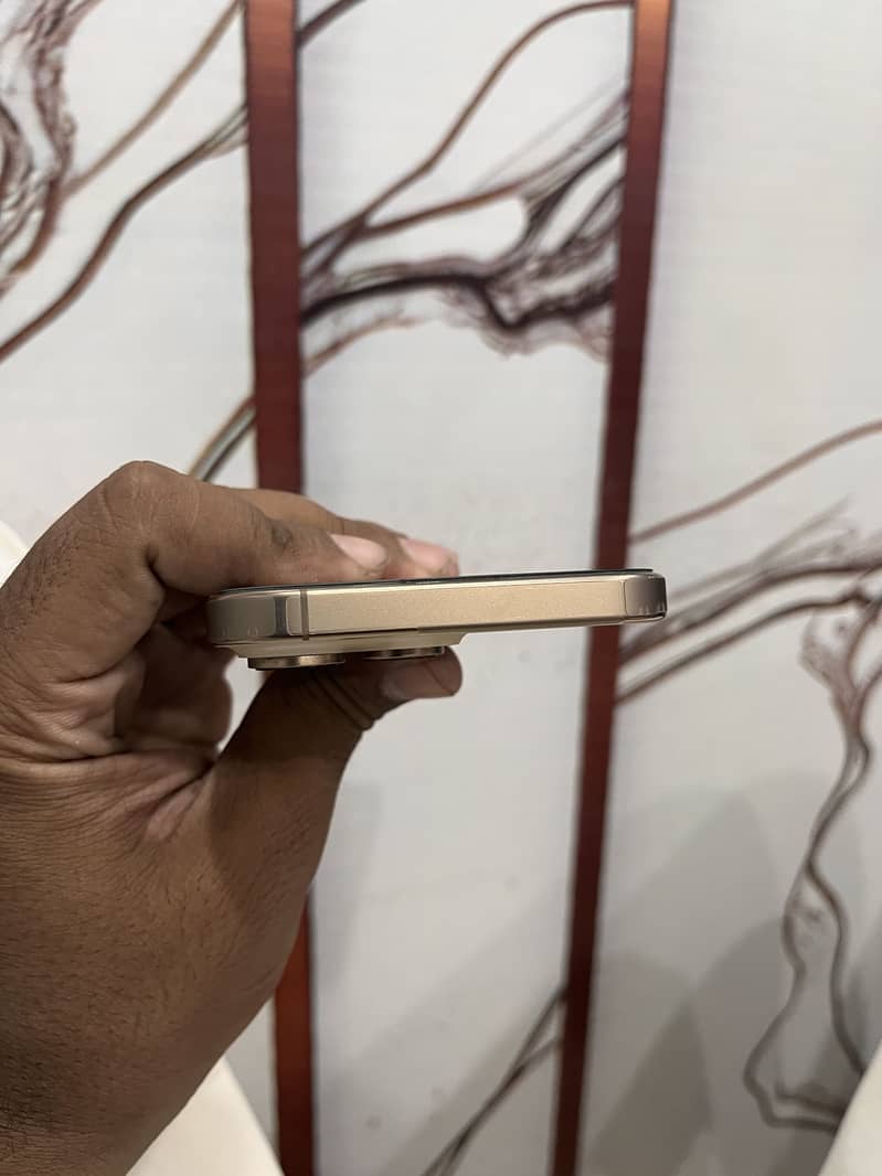 Apple iPhone 16 Pro Max 4