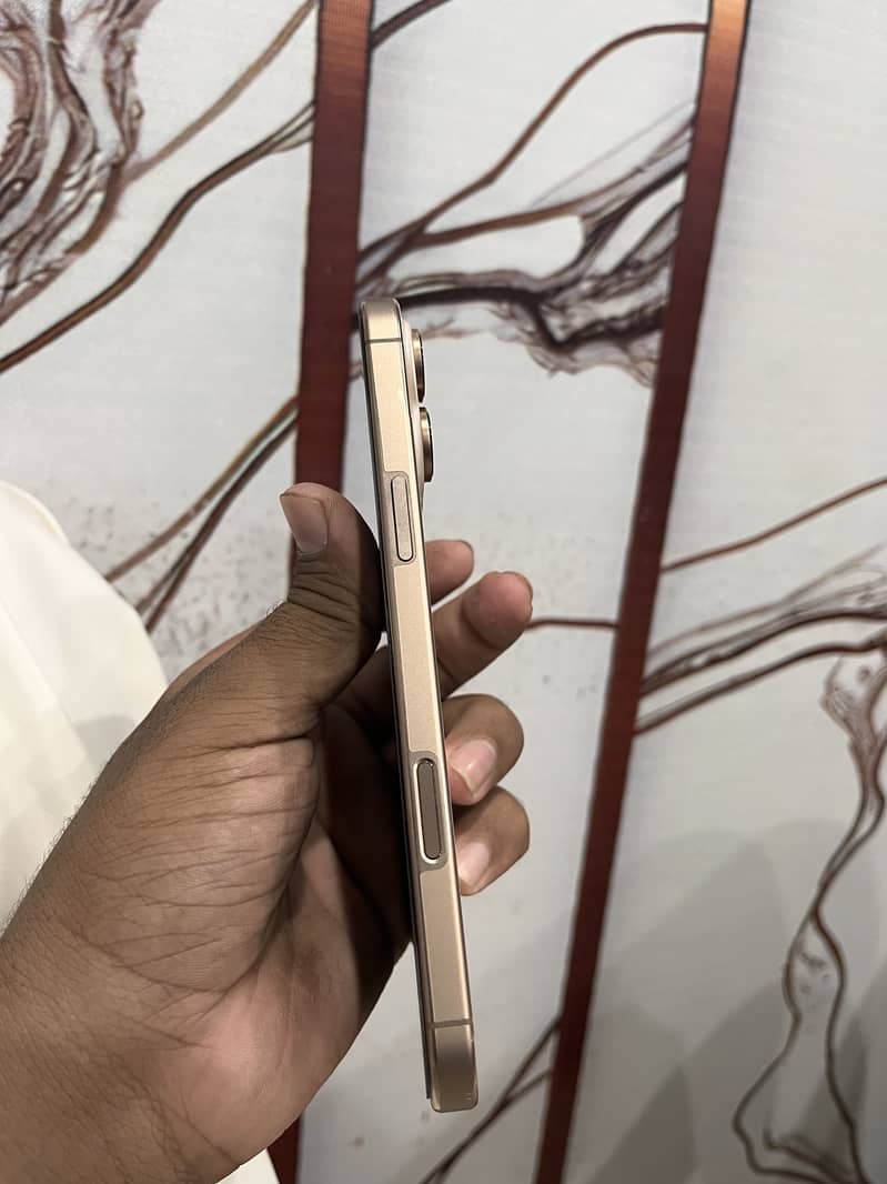 Apple iPhone 16 Pro Max 6