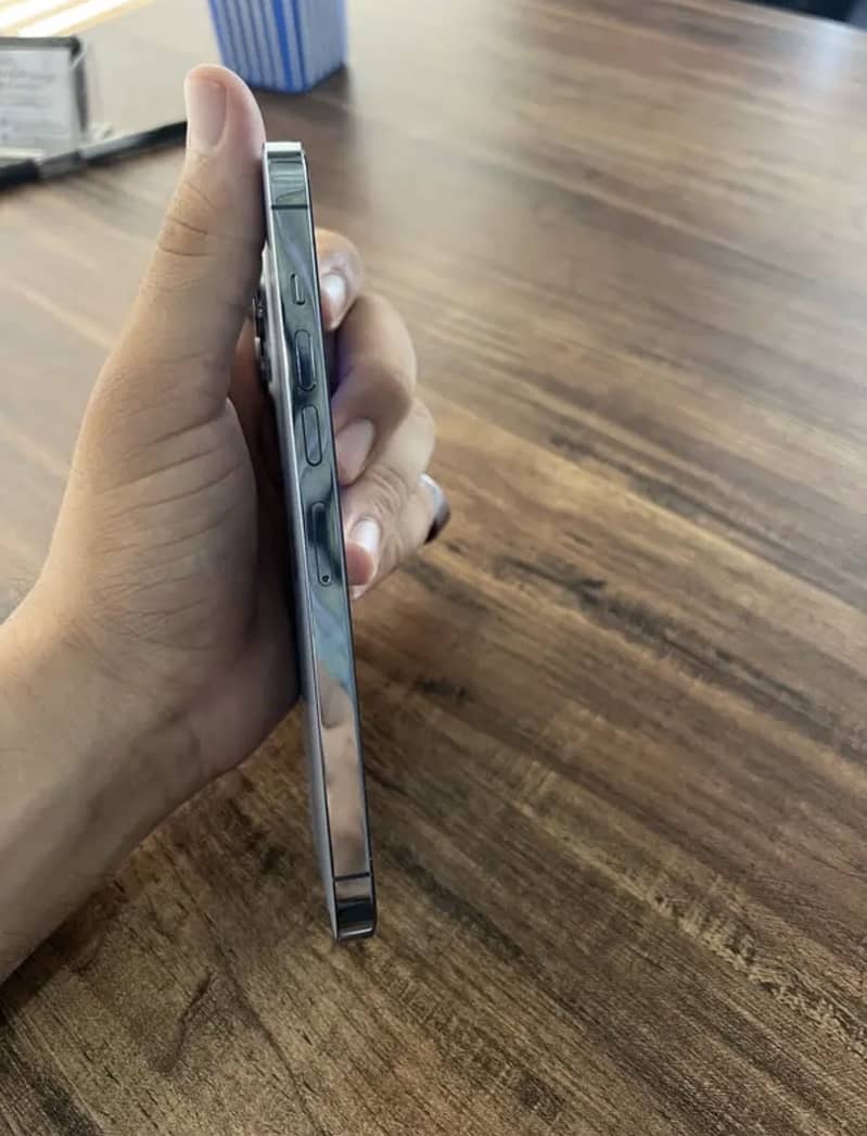 Apple iPhone 13 Pro Max 3