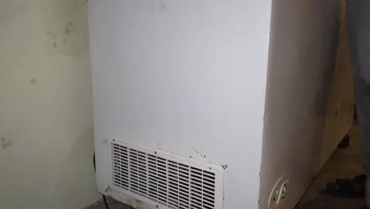 company waves freezer for sale