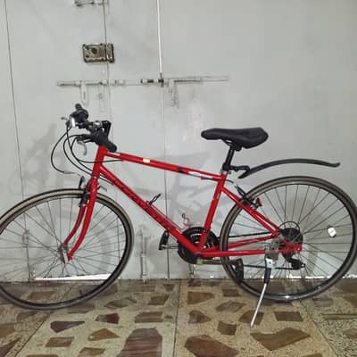 Bari bicycle for race