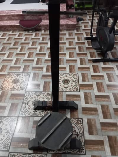gym twister