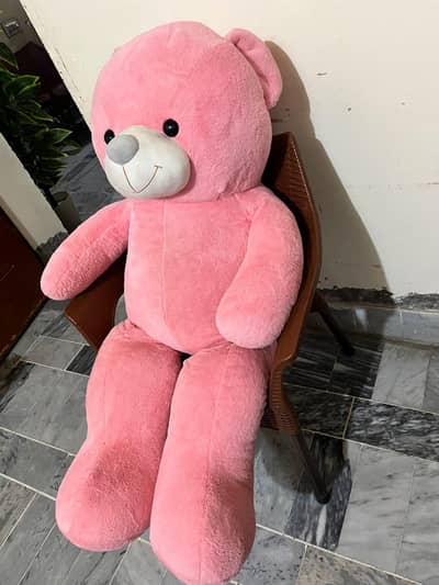 Teddy Bear