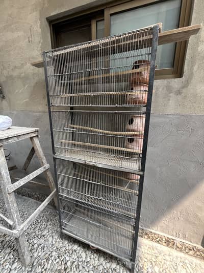 Bird’s cage