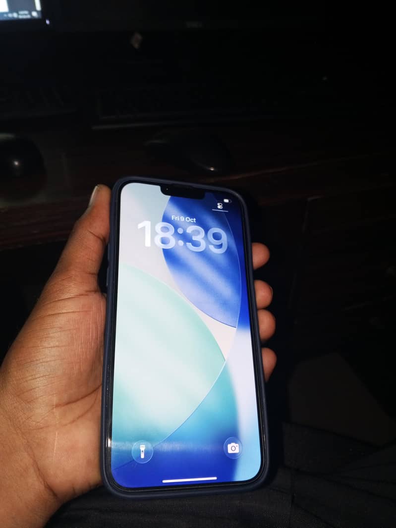 Apple iPhone 13 Pro Max 1