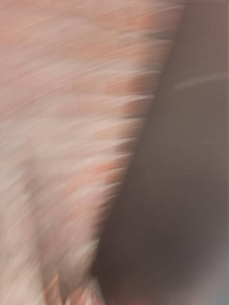 medium size fridge 0
