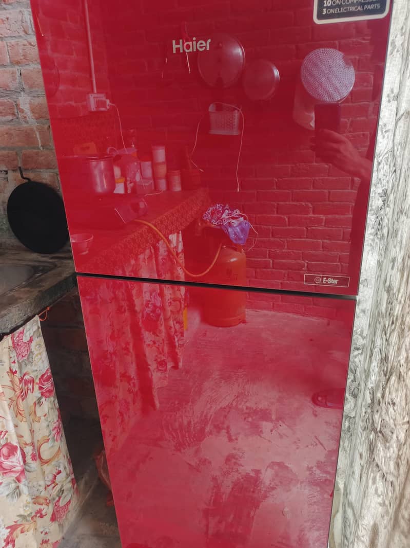 medium size fridge 2