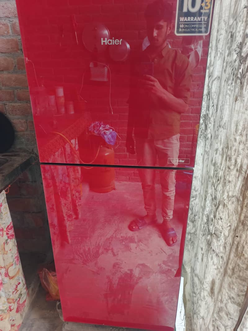 medium size fridge 3