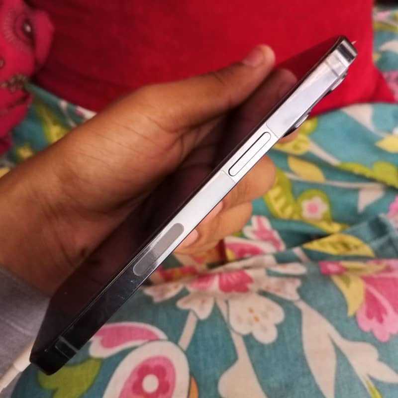 Apple iPhone 13 Pro 1
