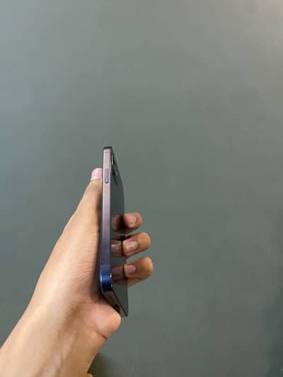 Apple iPhone 12 official PTA