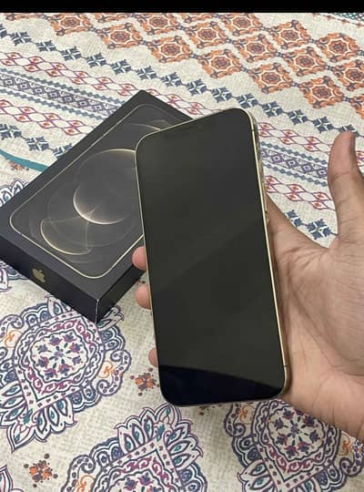 Apple iPhone 12 Pro Max