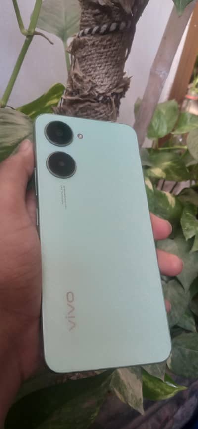 Vivo Y03t | 128GB | PTA Approved