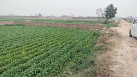 best for cattle form  wear house