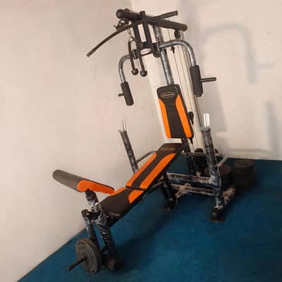 home gym with bench press bench multipurpose gym machine with Dumbells