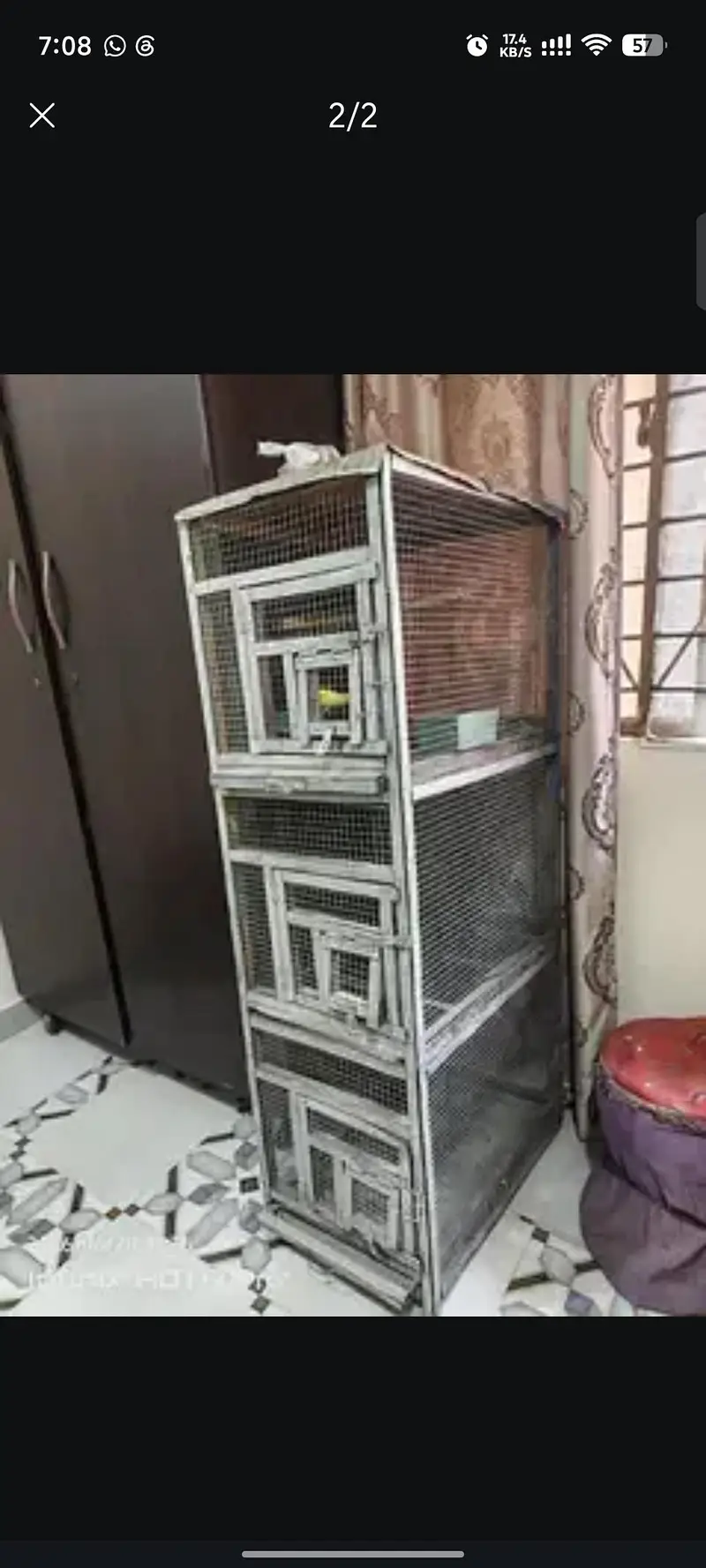 3 portion cage with birds — photo 11