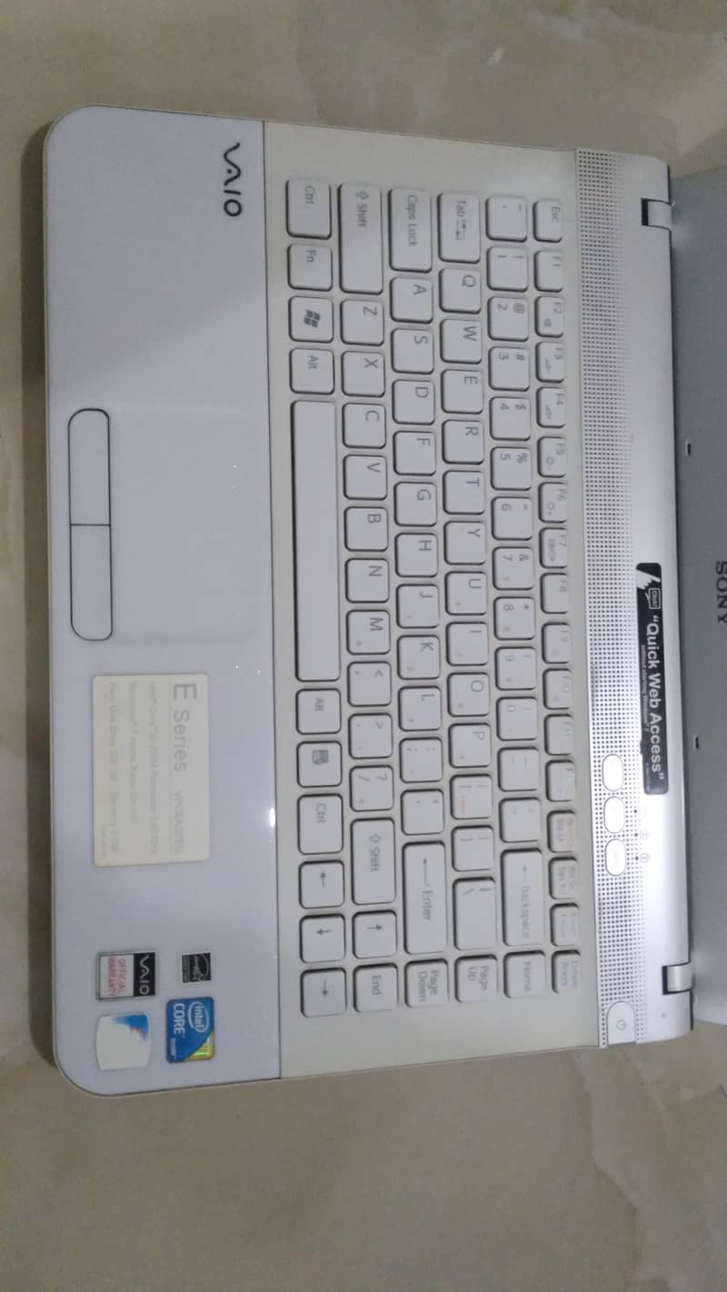 Sony Vaio 3