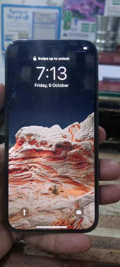 Apple iPhone 12 Pro Max
