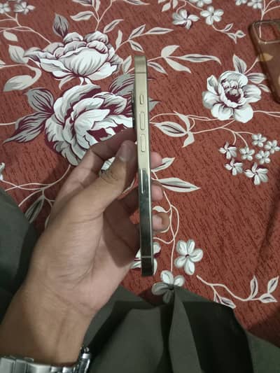 Apple iPhone 13 Pro