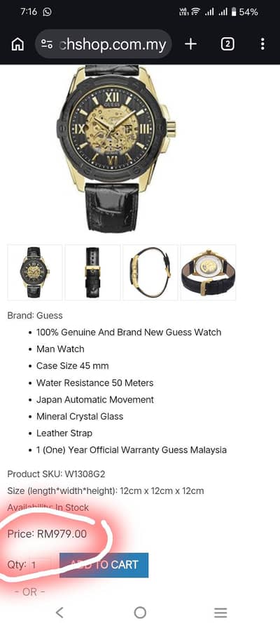 guess watch