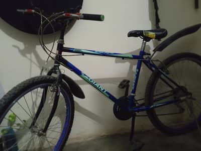 giant bicycle