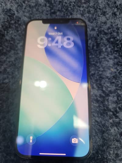 Apple iPhone 12 Pro Max